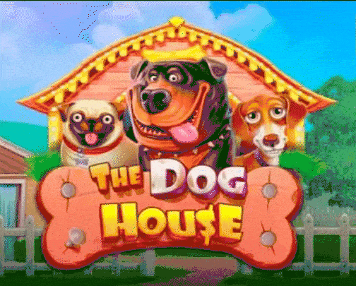 La caseta del perro, slot